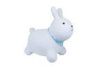 Bouncy rider ashby the rabbit