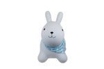 Bouncy rider ashby the rabbit