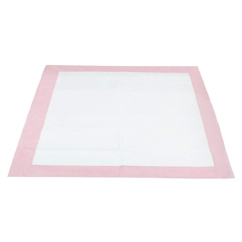 Pet Training Pads 400 Puppy Dog Cat Toilet Indoor 60X60Cm Super Absorbent