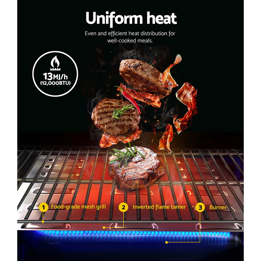 Portable Gas Bbq Grill