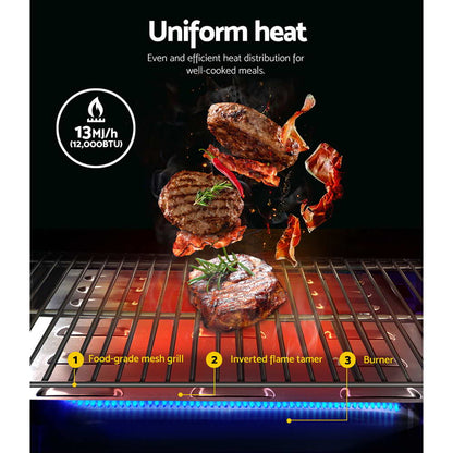 Portable Gas Bbq Grill