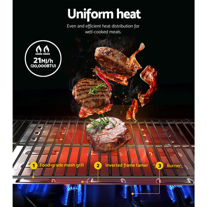Portable Gas Bbq Grill 2 Burners