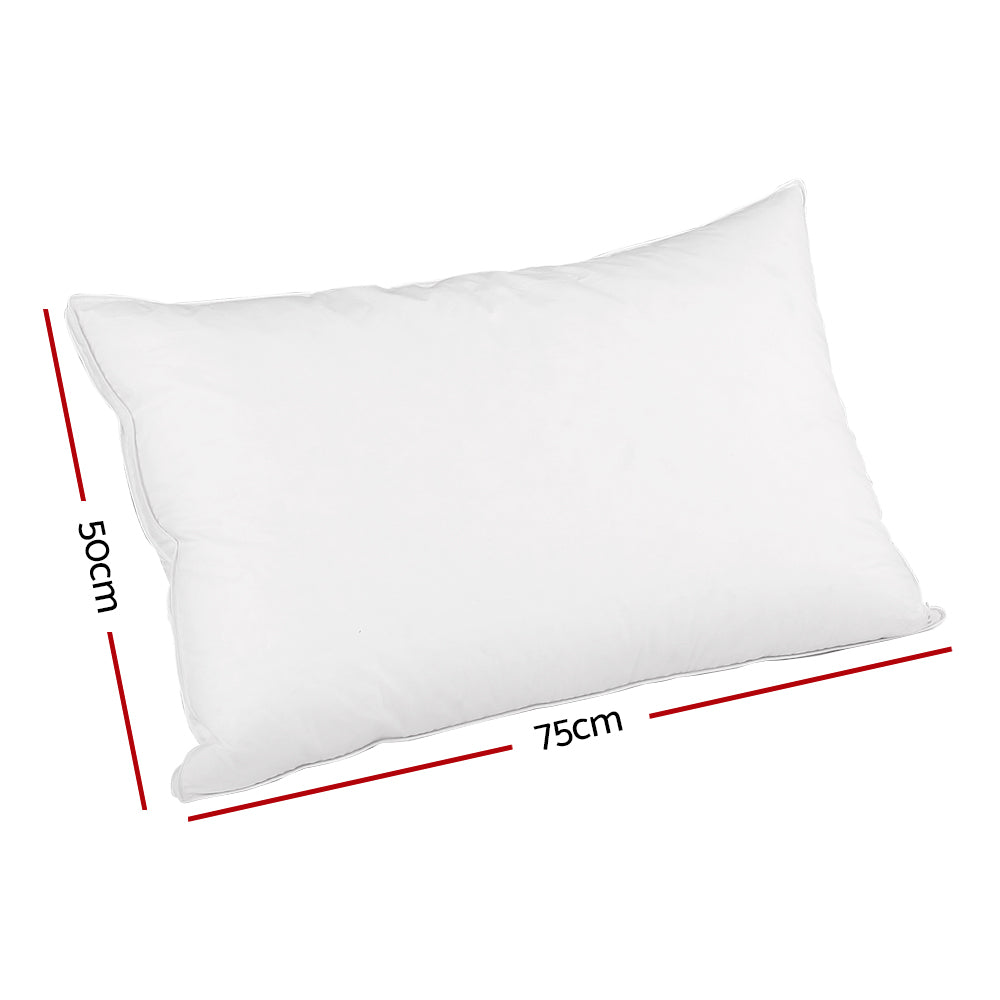 Duck Feather Down Pillow Luxury Twin Pack