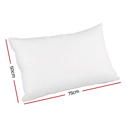 Duck Feather Down Pillow Luxury Twin Pack