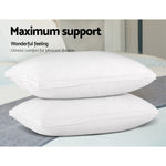 Duck Feather Down Pillow Luxury Twin Pack