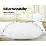Duck Feather Down Pillow Luxury Twin Pack