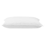 Goose Feather Down Pillow Twin Pack
