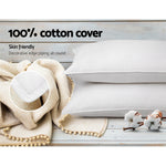 Goose Feather Down Pillow Twin Pack
