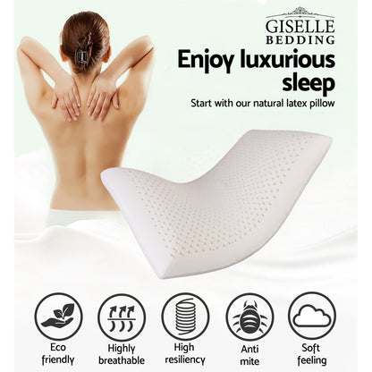 Natural Latex Pillow Classic Twin Pack