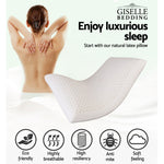 Natural Latex Pillow Classic Twin Pack