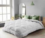 Microfiber Queen Quilt Duvert Insert 400GSM
