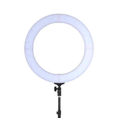 Ring Light 19" Tripod Stand Black