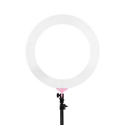 Ring Light 19" Tripod Stand Pink
