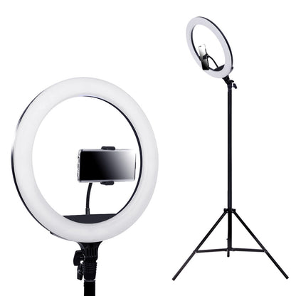Ring Light 14" Tripod Stand