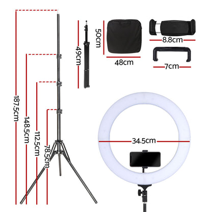 Ring Light 14" Tripod Stand