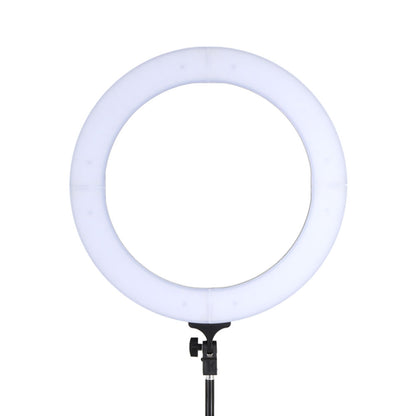 Ring Light 14" Tripod Stand