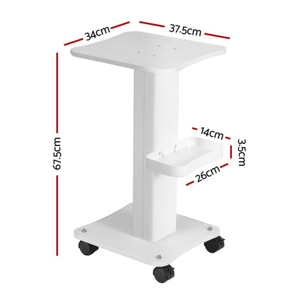 Salon Trolley Cart Hairdressing Storage Stand