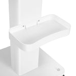 Salon Trolley Cart Hairdressing Storage Stand