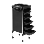 6-Tier Salon Trolley Cart Hairdressing Storage