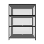 Display Cabinet 3 Tiers Clear Door Black