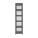 Display Cabinet Slim 5-Tier Clear Black
