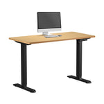 120CM Electric Standing Desk Single Motor Black&White