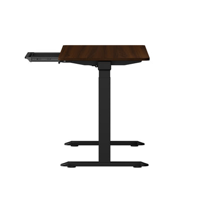 160cm Electric Standing Desk with Drawer Adjustable Black Walnut