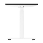 Elevate Your Workstation: Dual Motor Electric Standing Desk