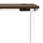 Elevate Your Workstation: Dual Motor Electric Standing Desk