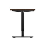 Electric Standing Desk Single Motor Height Adjustable Sit Stand Table Black and Walnut 150cm