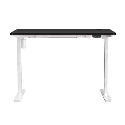 LiftMate Single Motor Electric Standing Desk