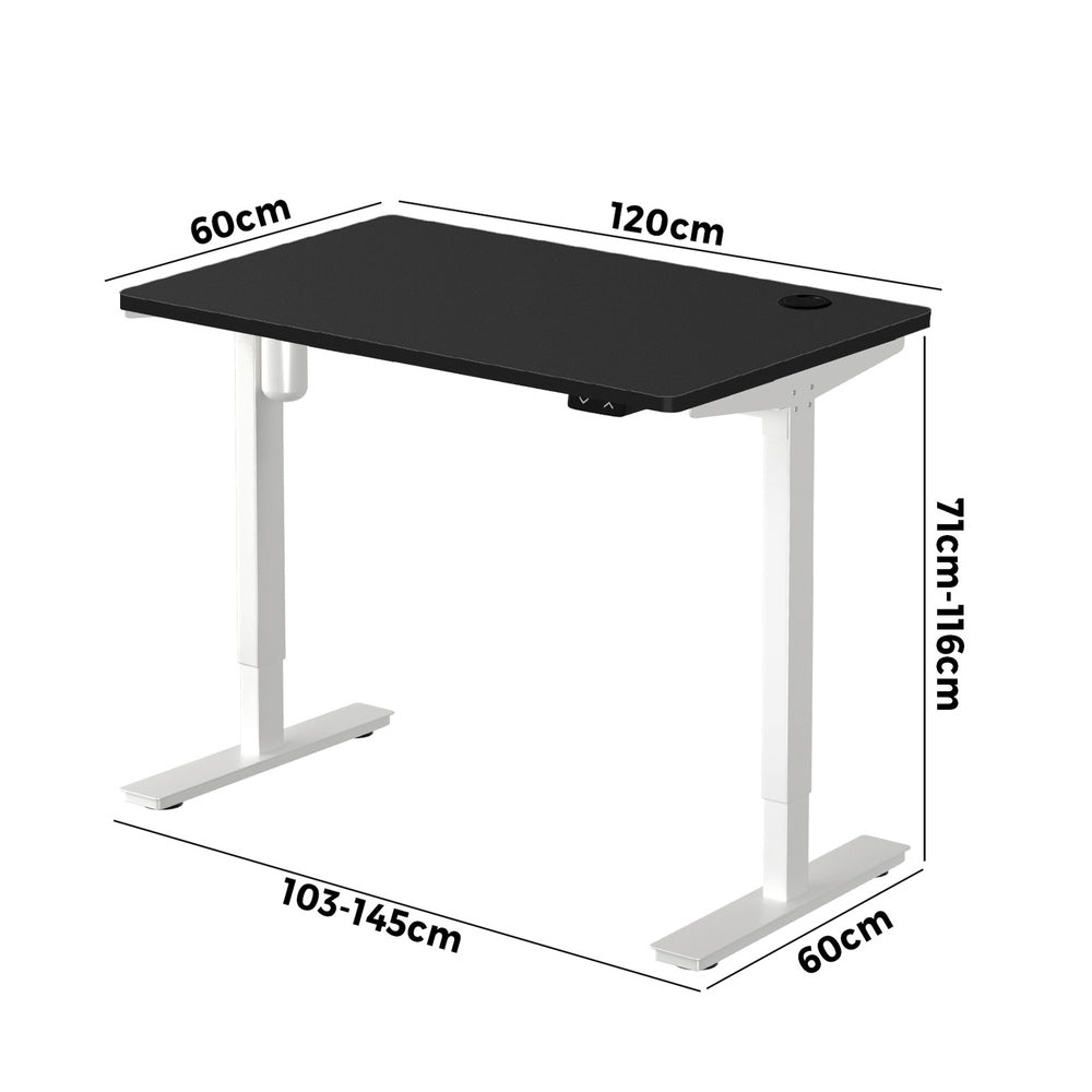 LiftMate Single Motor Electric Standing Desk