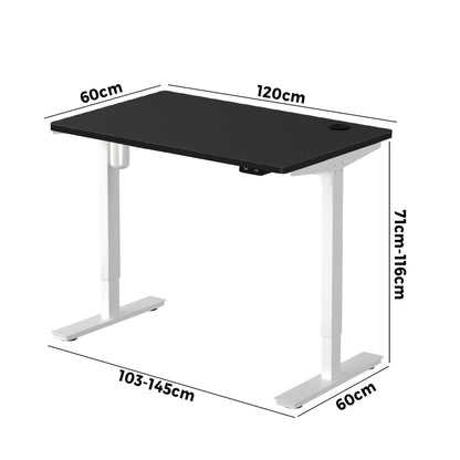 LiftMate Single Motor Electric Standing Desk