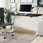 LiftMate Single Motor Electric Standing Desk