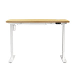 LiftMate Single Motor Electric Standing Desk