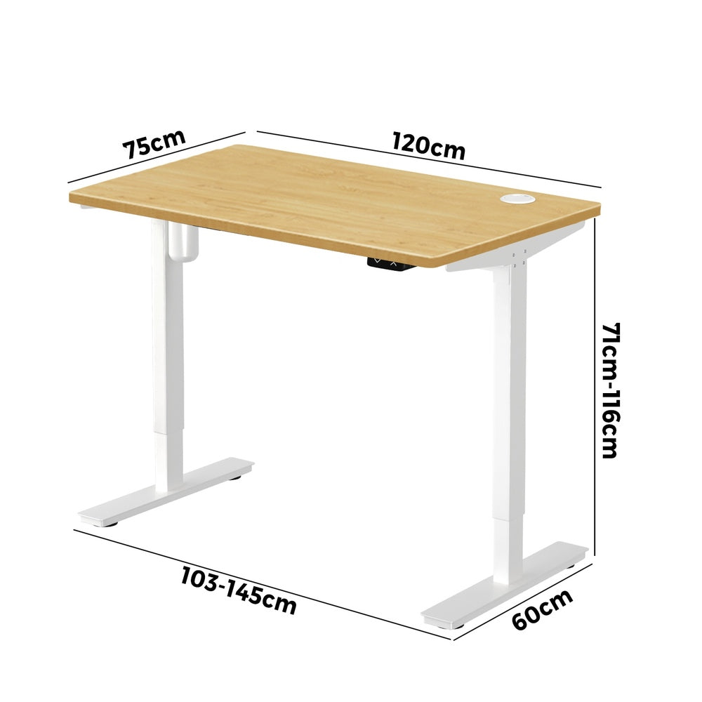 LiftMate Single Motor Electric Standing Desk