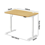 LiftMate Single Motor Electric Standing Desk