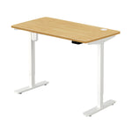 LiftMate Single Motor Electric Standing Desk