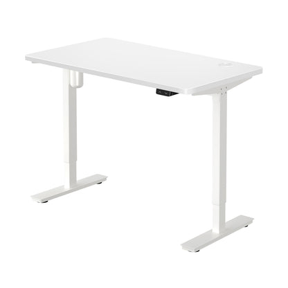 Electric Standing Desk Single Motor Height Adjustable Sit Stand Table White and Walnut 120cm