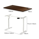 Electric Standing Desk Single Motor Height Adjustable Sit Stand Table White and Walnut 150cm