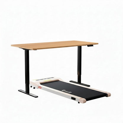 Electric Treadmill Desk Combo 120x60x73cm