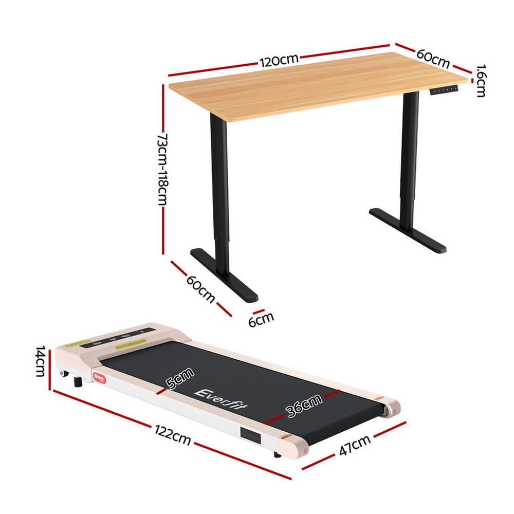 Electric Treadmill Desk Combo 120x60x73cm