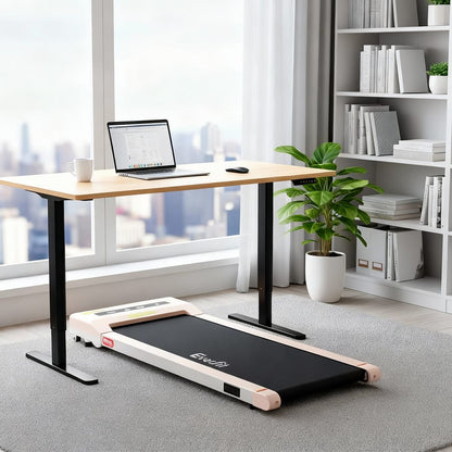 Electric Treadmill Desk Combo 120x60x73cm