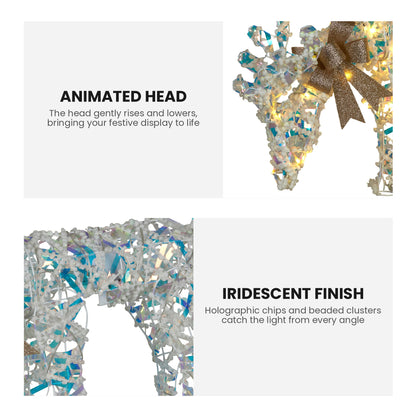 Animated Reindeer Display