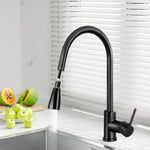 Kitchen Mixer Tap Pull Out 2 Mode Sink Faucet Basin Laundry Black