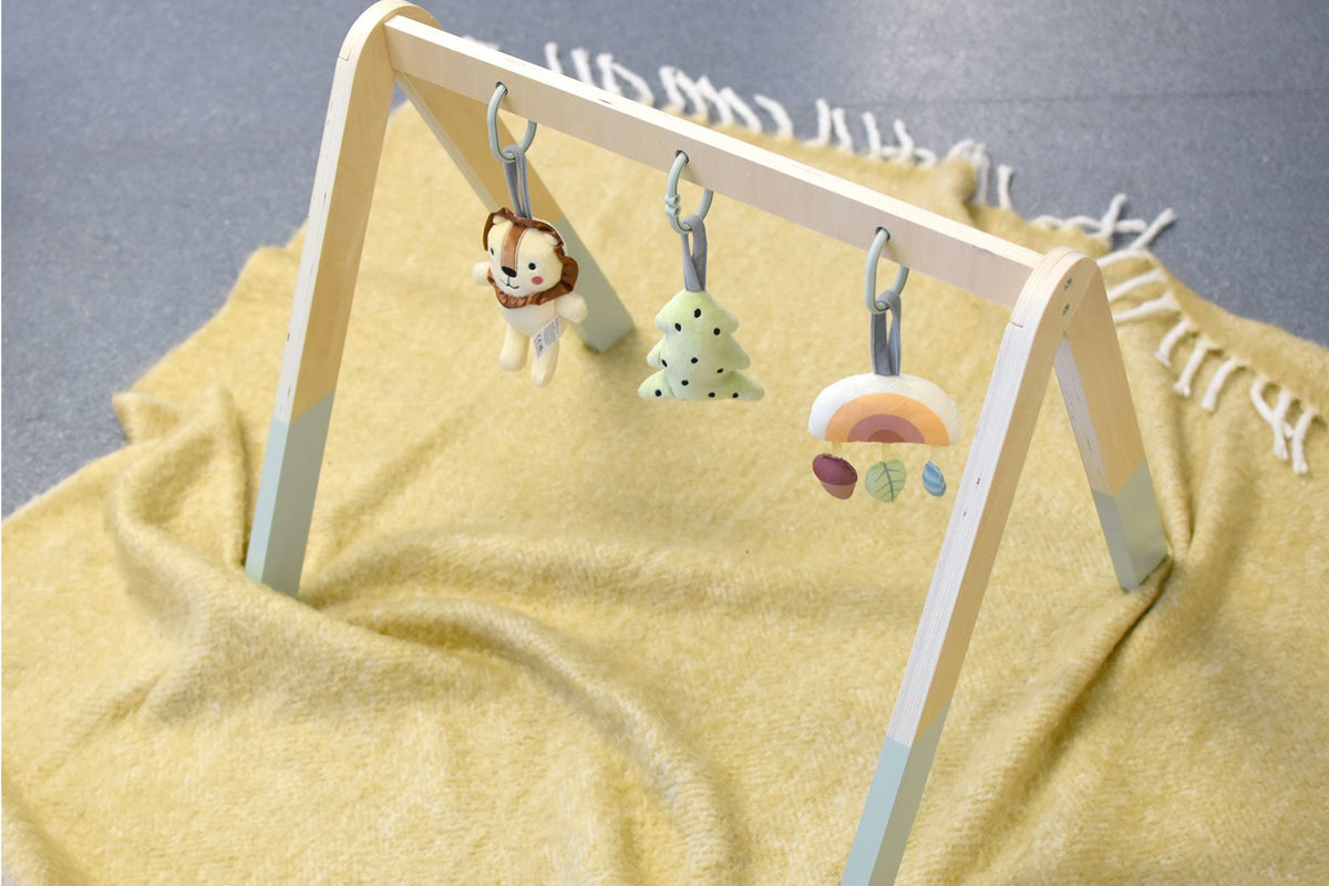 My Forest Friends Lion Baby Gym