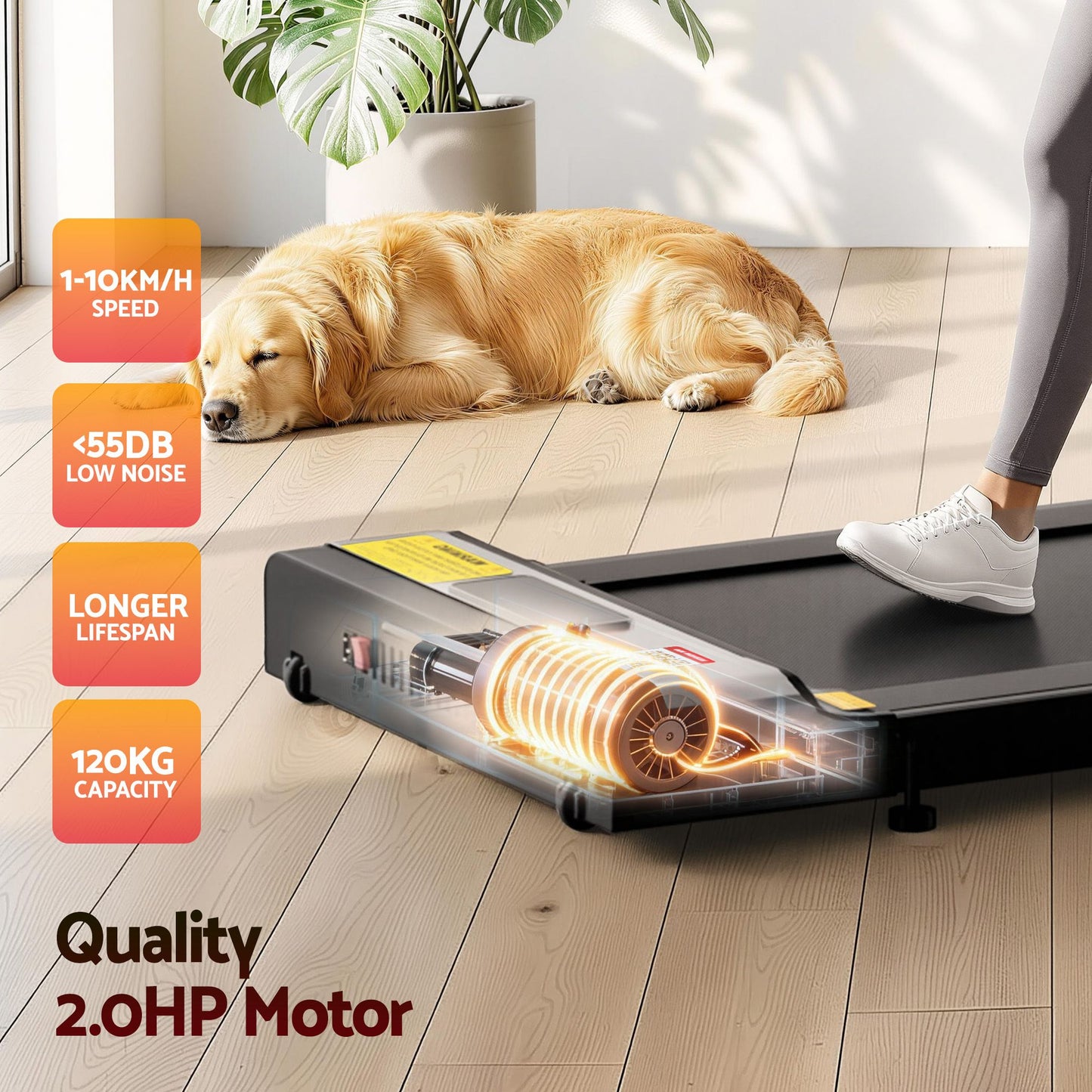 Electric Foldable Treadmill - Compact Fitness Pad