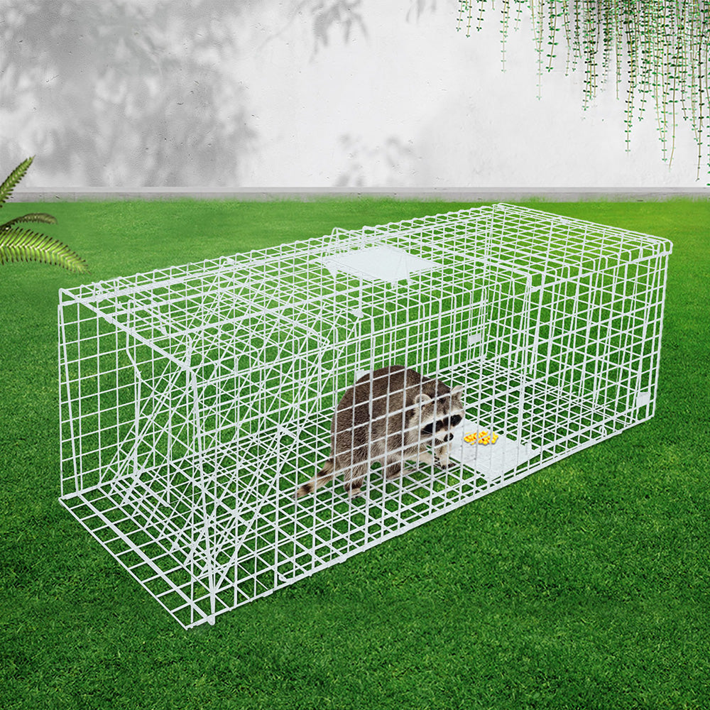 Animal Trap Cage Possum 150X50Cm