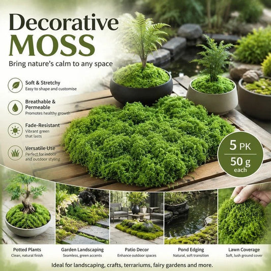 Preserved Thread Moss 5 Pack 50g Terrarium | HomeAndLiving