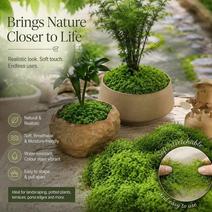 Preserved Thread Moss 5 Pack 50g Terrarium | HomeAndLiving - 2